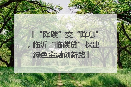 “降碳”变“降息”，临沂“临碳贷”探出绿色金融创新路