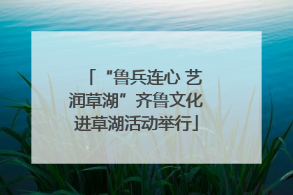 “鲁兵连心 艺润草湖”齐鲁文化进草湖活动举行