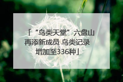 “鸟类天堂”六盘山再添新成员 鸟类记录增加至336种