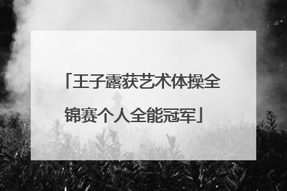 王子露获艺术体操全锦赛个人全能冠军