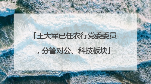 王大军已任农行党委委员，分管对公、科技板块