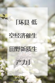 环县 低空经济催生田野新质生产力
