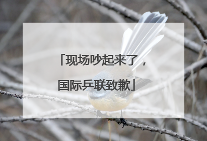 现场吵起来了，国际乒联致歉