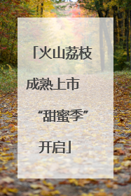 火山荔枝成熟上市 “甜蜜季”开启