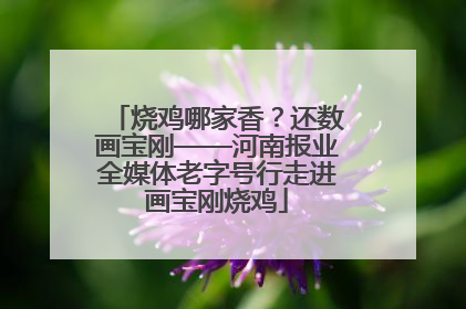 烧鸡哪家香？还数画宝刚——河南报业全媒体老字号行走进画宝刚烧鸡