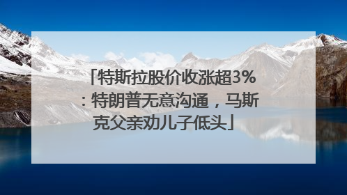 特斯拉股价收涨超3%：特朗普无意沟通，马斯克父亲劝儿子低头