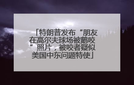 特朗普发布“朋友在高尔夫球场被鹅咬”照片，被咬者疑似美国中东问题特使