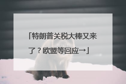特朗普关税大棒又来了？欧盟等回应→