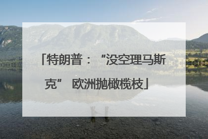 特朗普：“没空理马斯克” 欧洲抛橄榄枝