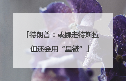 特朗普：或挪走特斯拉 但还会用“星链”