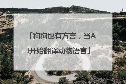 狗狗也有方言，当AI开始翻译动物语言