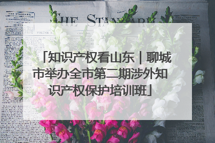 知识产权看山东｜聊城市举办全市第二期涉外知识产权保护培训班