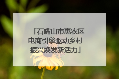 石嘴山市惠农区电商引擎驱动乡村振兴焕发新活力