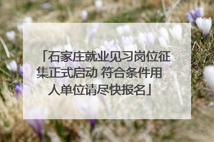 石家庄就业见习岗位征集正式启动 符合条件用人单位请尽快报名