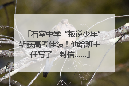 石室中学“叛逆少年”斩获高考佳绩！他给班主任写了一封信……