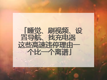 睡觉、刷视频、设置导航、找充电器 这些高速违停理由一个比一个离谱