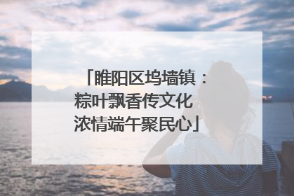 睢阳区坞墙镇：粽叶飘香传文化 浓情端午聚民心