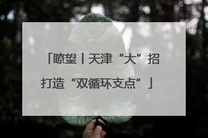 瞭望丨天津“大”招打造“双循环支点”