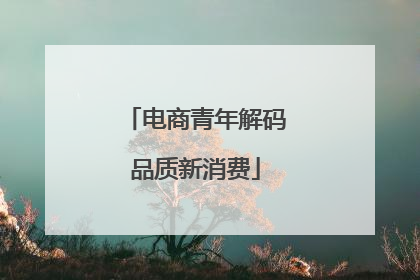电商青年解码品质新消费