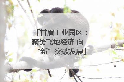 甘眉工业园区：聚势飞地经济 向“新”突破发展