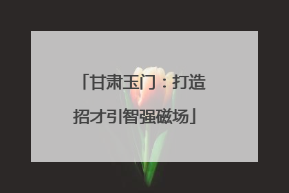 甘肃玉门：打造招才引智强磁场