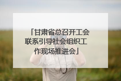 甘肃省总召开工会联系引导社会组织工作现场推进会
