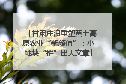 甘肃庄浪重塑黄土高原农业“新颜值”：小地块“拼”出大文章