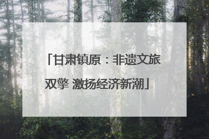 甘肃镇原：非遗文旅双擎 激扬经济新潮