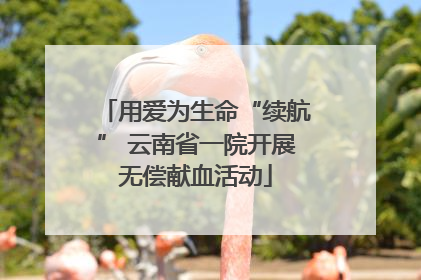 用爱为生命“续航” 云南省一院开展无偿献血活动