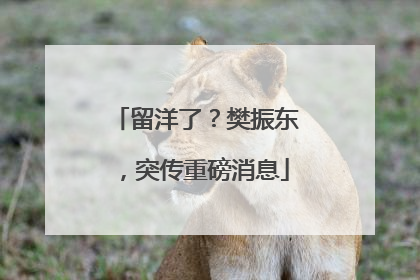 留洋了？樊振东，突传重磅消息