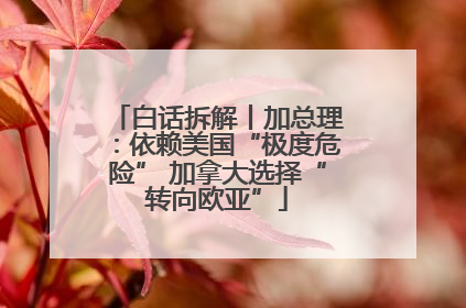 白话拆解丨加总理：依赖美国“极度危险” 加拿大选择“转向欧亚”