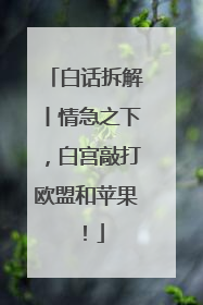 白话拆解丨情急之下，白宫敲打欧盟和苹果！