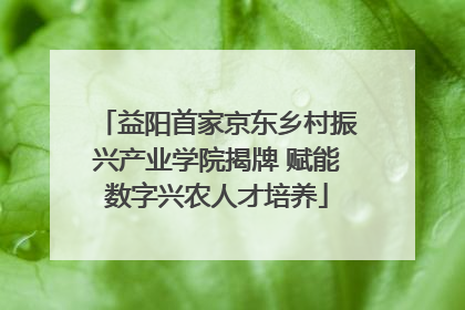 益阳首家京东乡村振兴产业学院揭牌 赋能数字兴农人才培养