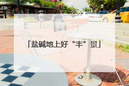盐碱地上好“丰”景