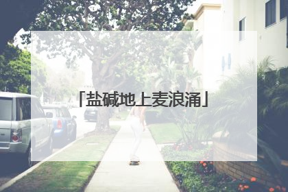 盐碱地上麦浪涌