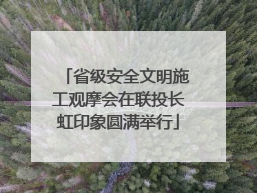 省级安全文明施工观摩会在联投长虹印象圆满举行