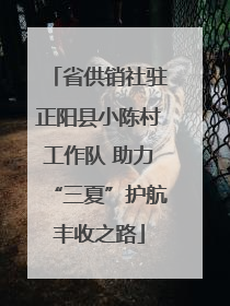 省供销社驻正阳县小陈村工作队 助力“三夏”护航丰收之路