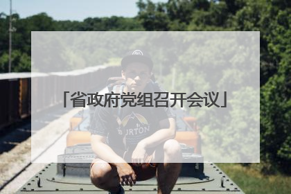 省政府党组召开会议