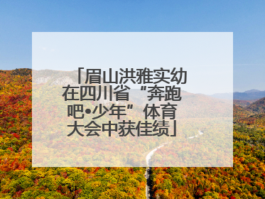 眉山洪雅实幼在四川省“奔跑吧•少年”体育大会中获佳绩