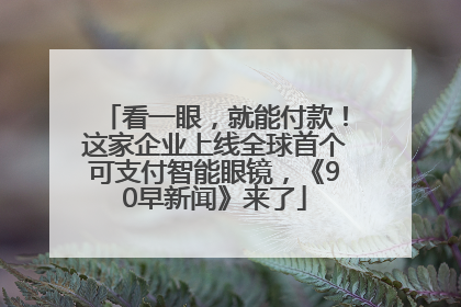 看一眼，就能付款！这家企业上线全球首个可支付智能眼镜，《90早新闻》来了