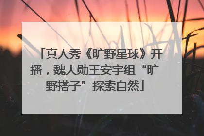 真人秀《旷野星球》开播，魏大勋王安宇组“旷野搭子”探索自然
