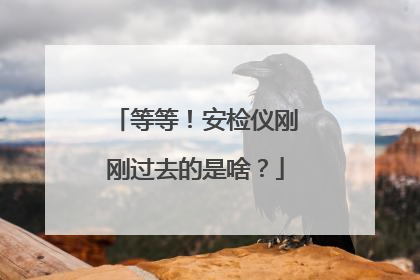 等等！安检仪刚刚过去的是啥？