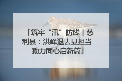 筑牢“汛”防线｜慈利县：洪峰退去显担当 勠力同心启新篇