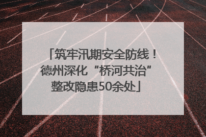 筑牢汛期安全防线！德州深化“桥河共治”整改隐患50余处