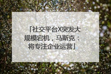 社交平台X突发大规模宕机，马斯克：将专注企业运营