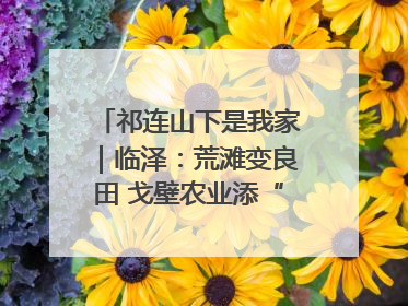 祁连山下是我家｜临泽：荒滩变良田 戈壁农业添“绿”生“金”