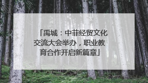 禹城：中菲经贸文化交流大会举办，职业教育合作开启新篇章