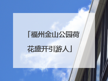 福州金山公园荷花盛开引游人