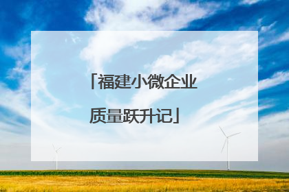 福建小微企业质量跃升记