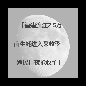 福建连江2.5万亩生蚝进入采收季 渔民日夜抢收忙